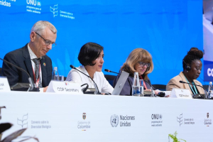 Half-time at COP16, where do negotiations stand?