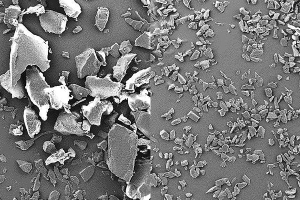 Biopolimeri: al posto giusto