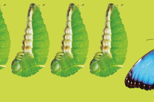 Metamorphosis of a Consortium in a Changing Waste Economy