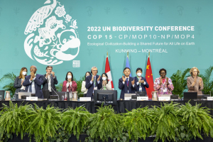 COP15: a Montreal raggiunto accordo storico per la Biodiversità