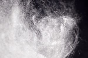 Fibre Cellulosiche: dalla schiuma per packaging agli assorbenti, un laboratorio di innovazione circolare