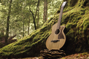 Lingrove: From Flax Waste to Ekoa Biomaterial