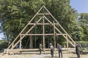 Notre-Dame de Paris, la rigenerazione di un mito passerà per il legno
