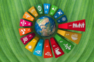 Monitorare la sostenibilità dei Comuni: il caso italiano