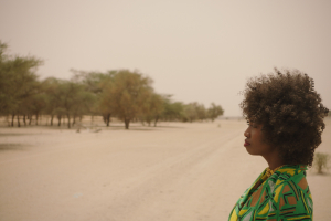 CinemAmbiente: a Torino torna il cinema che salva il Pianeta