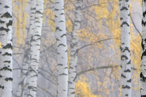 The Many Lives of Matter. Here's how to Convert it Back