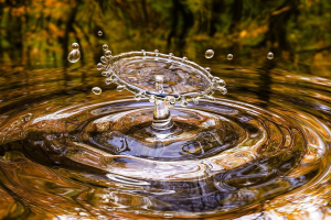 Giornata Mondiale dell’Acqua: tutte le iniziative del Gruppo CAP