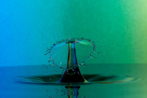 La goccia ha fatto traboccare il vaso