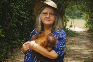 Addio alla scienziata Biruté Galdikas, una vita dedicata a salvare gli oranghi