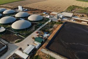 Biometano, quali sviluppi nel mercato europeo? Intervista a Giulia Cancian