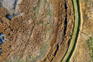 Crisi climatica, danni all’agricoltura per 3.800 miliardi: la prima causa è la siccità