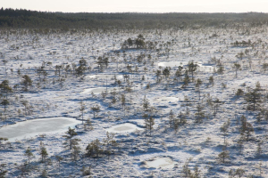 Metano, le emissioni dimenticate da tutti