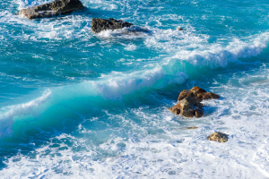 Startup, Limenet: calcium bicarbonates from CO₂ to benefit marine biota