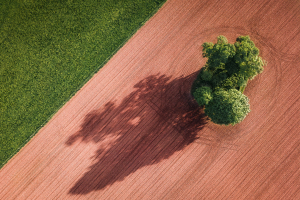 Agricoltura e suolo contribuiscono al calo delle emissioni in Europa