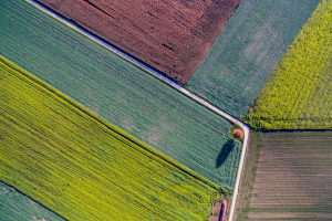 Terra Next: a Napoli un acceleratore di innovazione per la bioeconomia italiana