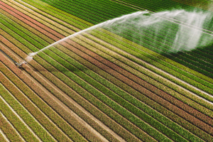 Resilienza, acqua, sicurezza alimentare: l’agricoltura alla sfida del clima