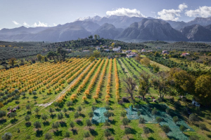 Agricoltura rigenerativa, pubblicato lo studio più ampio al mondo
