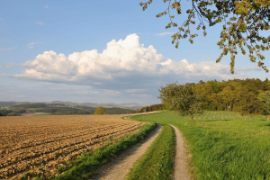 Agricoltura rigenerativa e defiscalizzazione: il CESE traccia la rotta per l’Europa