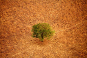 La siccità nel Corno d'Africa è tutta colpa del cambiamento climatico