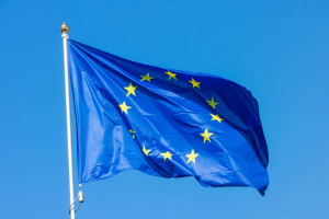 Elezioni europee: io voto, e tu?