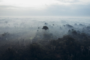 L'ultima battaglia di Hipólito: quando difendere l'Amazzonia costa la vita