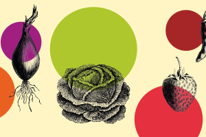 The Real Value of Food