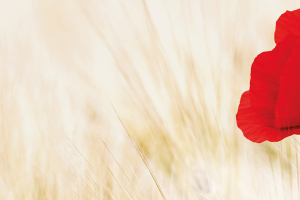 Pushing the Limits of Technology, Recognizing the Limits of Natural Resources