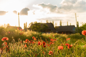 La transizione ecologica arriva dai territori