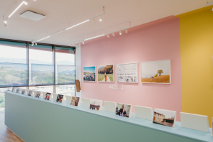 Bellezza e attenzione all’ambiente: i nuovi spazi retail del lusso