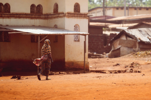 La crisi climatica ci farà perdere il 9% dei servizi ecosistemici entro il 2100