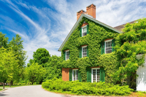 Biodiversità in città, come misurarne l’impatto positivo