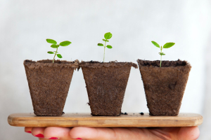 Terra Next, al via la nuova call per startup della bioeconomia