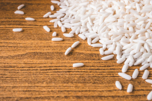 Bioedilizia, dagli scarti del riso un nuovo materiale per costruire case