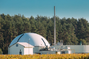 Bioenergie, alleate della decarbonizzazione ma non sostituiscono l’elettrico