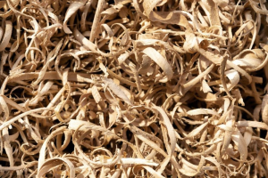 Biomassa, nuova tecnologia per convertire i rifiuti in carburanti rinnovabili