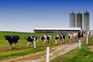 Biomethane, energy from circularity