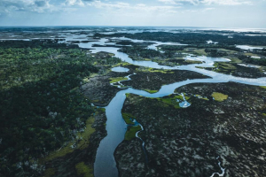 CinemAmbiente 2024: dall’Amazzonia all’Antartide, la crisi ambientale al cinema