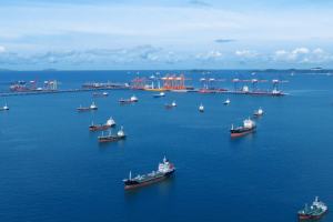 Ocean Economy, without reporting obligations, biodiversity and ecosystems are at risk