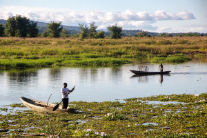Zambia, stop alla nuova miniera di rame nel Parco nazionale del basso Zambezi