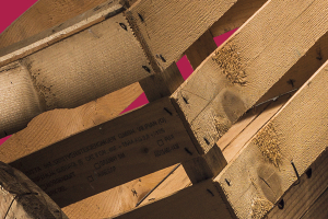 The wood packaging recycling industry