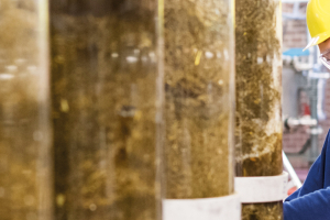 The Bio Base Europe Pilot Plant