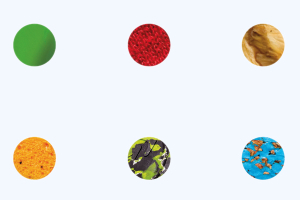 Neoclassical or Ex Novo?