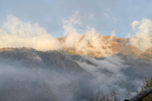 Caccia e biodiversità, la proposta di Fondazione UNA