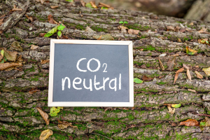 Gruppo CAP, carbon neutral grazie a progetti in India, Cina e Madagascar