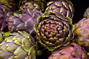 Startup: Circular Fiber, dagli scarti dei carciofi la farina Karshof