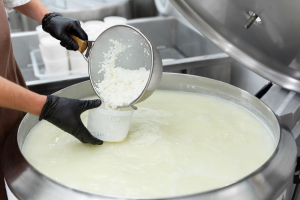 Dagli scarti del siero del latte il calore per alimentare i caseifici