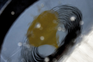 Used Oil: 30 Years 	of Green Economy