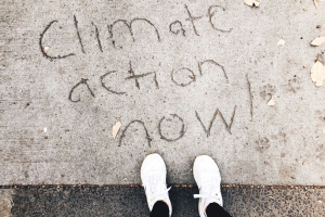 Gli obiettivi del nuovo intergruppo parlamentare sui cambiamenti climatici