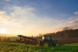 Coltivaitalia: il piano del Governo per un'agricoltura più autonoma, giovane e tecnologica