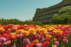 Biodiversità, cosa chiede la Direttiva CSRD alle aziende